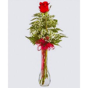 Solitario Rosa