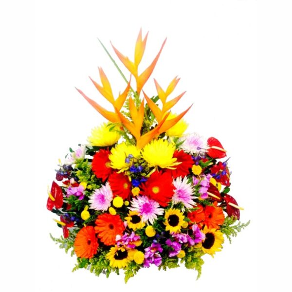 Primaveral
